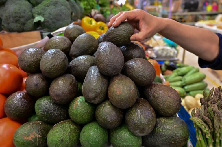 U.S. authorities permits Mexican avocado imports to renew