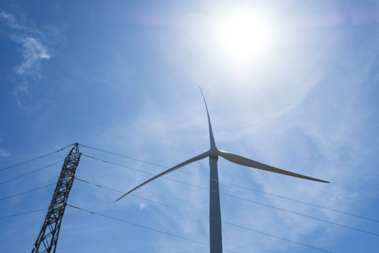 Velocity up renewables funding to ensure vitality independence: CEO