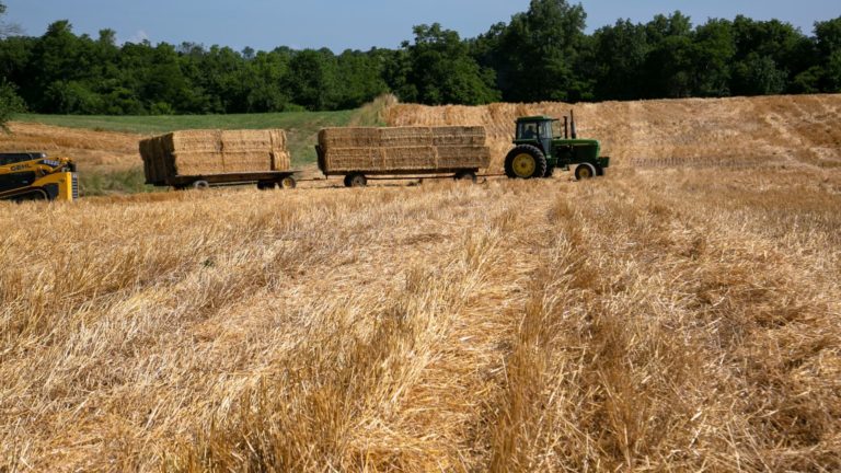 Charts recommend corn and wheat futures might proceed to rise resulting from Russia-Ukraine conflict, Cramer says