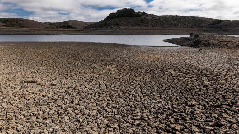 California slashes provides to water companies amid document drought