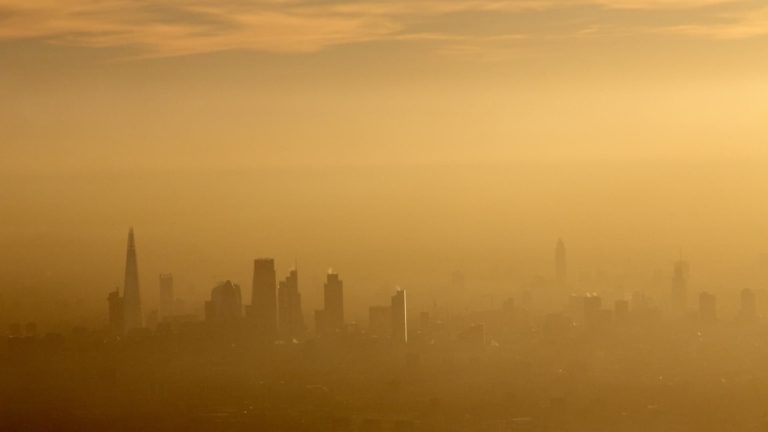 Londoners ought to keep away from pointless automotive journeys after air pollution alert