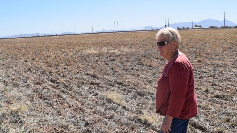 Arizona farmers are slammed by water cuts within the West amid drought