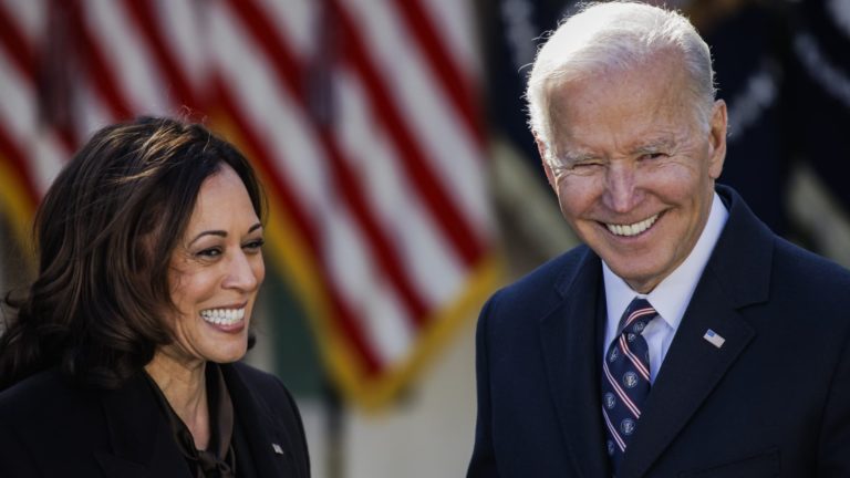 What we discovered from Biden, Harris tax returns, in keeping with specialists