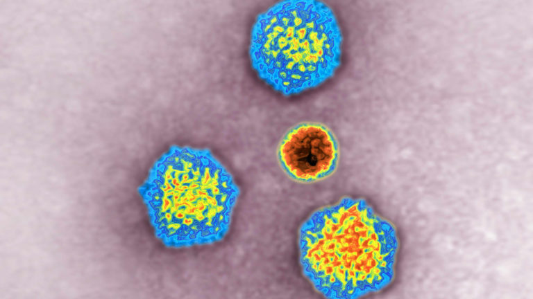 Hepatitis outbreak in children could also be linked to adenovirus, WHO says