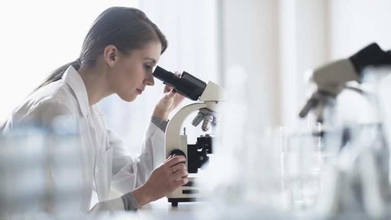 Power, well being care are engaging sectors to look at for remainder of 12 months