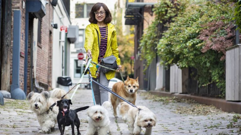 44% of People work a facet hustle to make ends meet