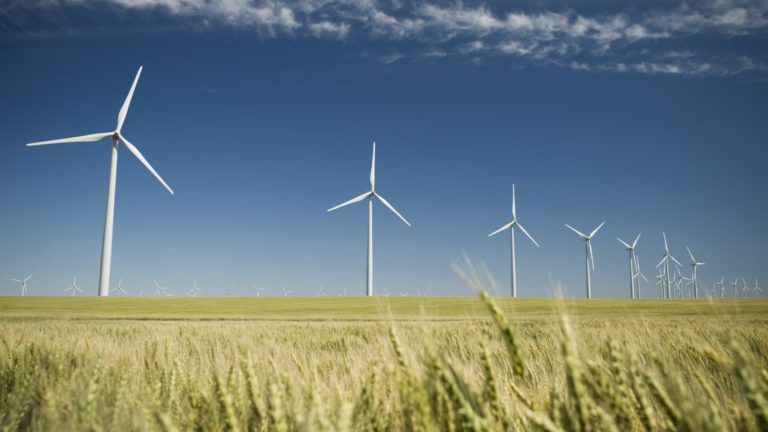 Selecting a socially accountable fund will be complicated. Right here’s what to know