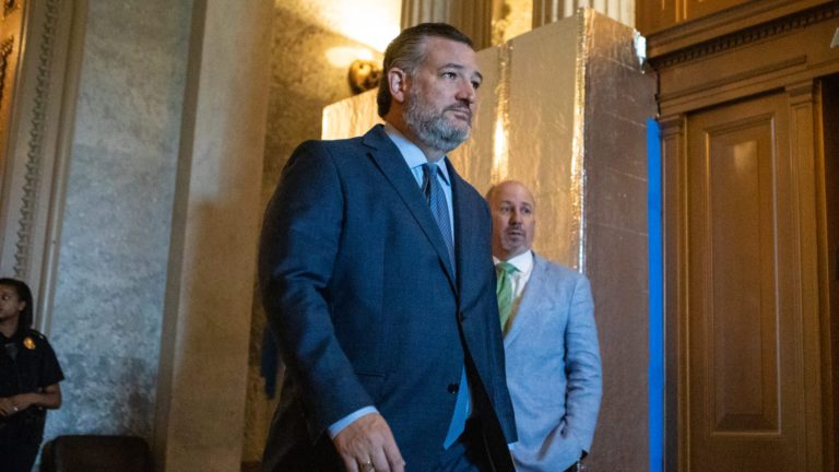 Republicans might attempt to block pupil mortgage forgiveness