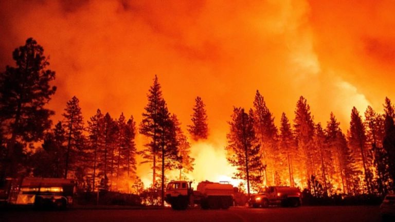 Tesla Nevada Gigafactory works to chop Mosquito Hearth smoke publicity