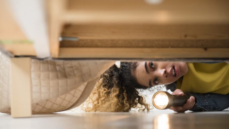 The 401(okay) business launches rollover plan for outdated retirement accounts