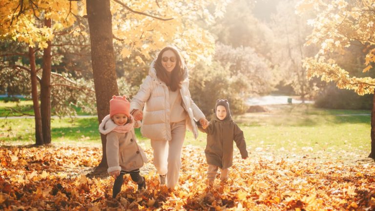 Over 9 million people, households can declare 2021 tax credit