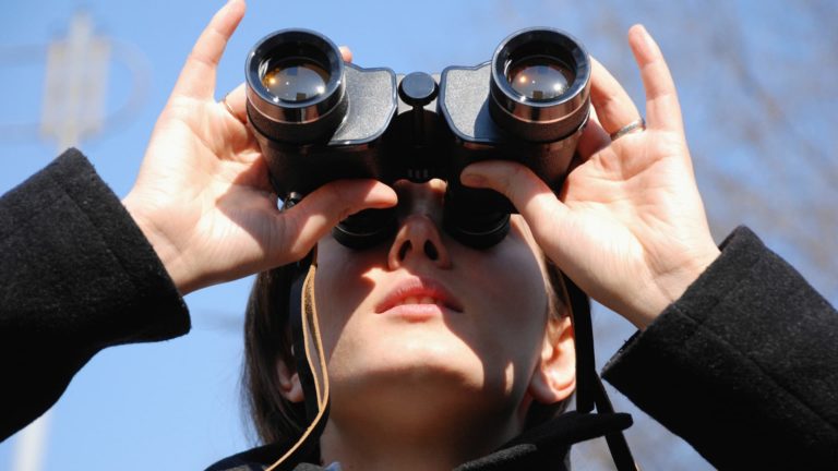 5 purple flags to identify scholar mortgage forgiveness utility scams