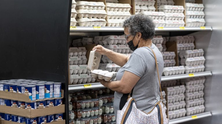 Why egg costs are surging — however hen costs are falling