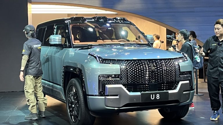 Ford CEO Farley says Chinese language automakers like BYD are largest EV rivals