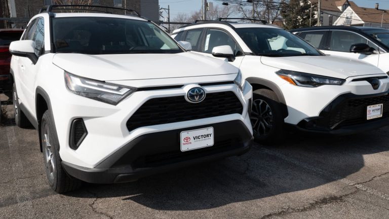 Tesla Mannequin Y, Toyota hybrids make Shopper Studies’ high 10 rating