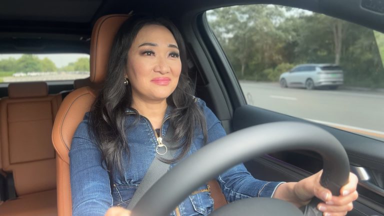 We drove Chinese language EVs to see why rival automakers are fearful