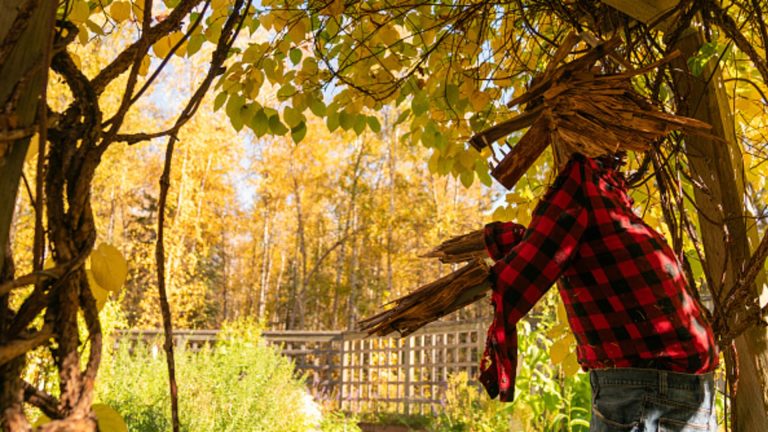 Shares’ choppiness in October could be a chance